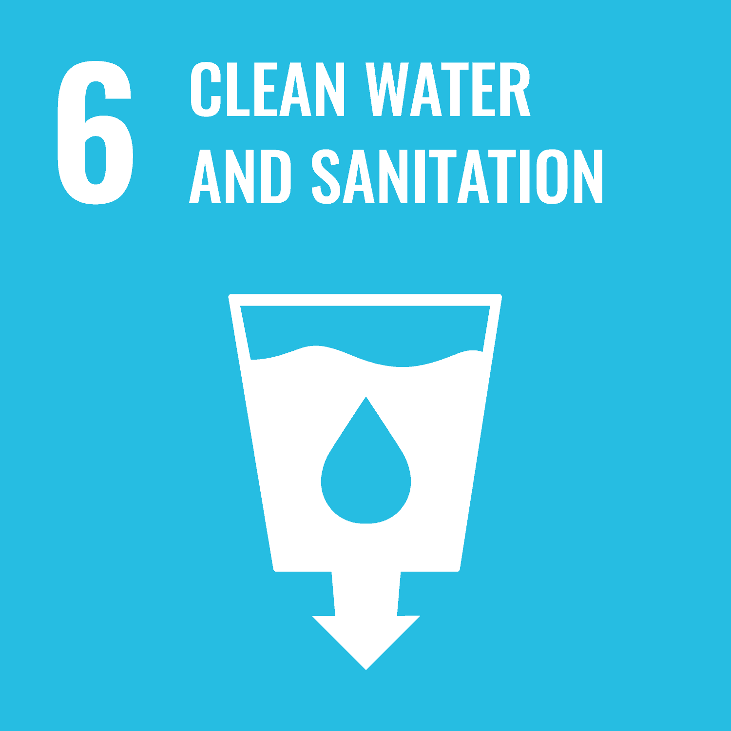 SUSTAINABLE DEVELOPMENT GOAL 1