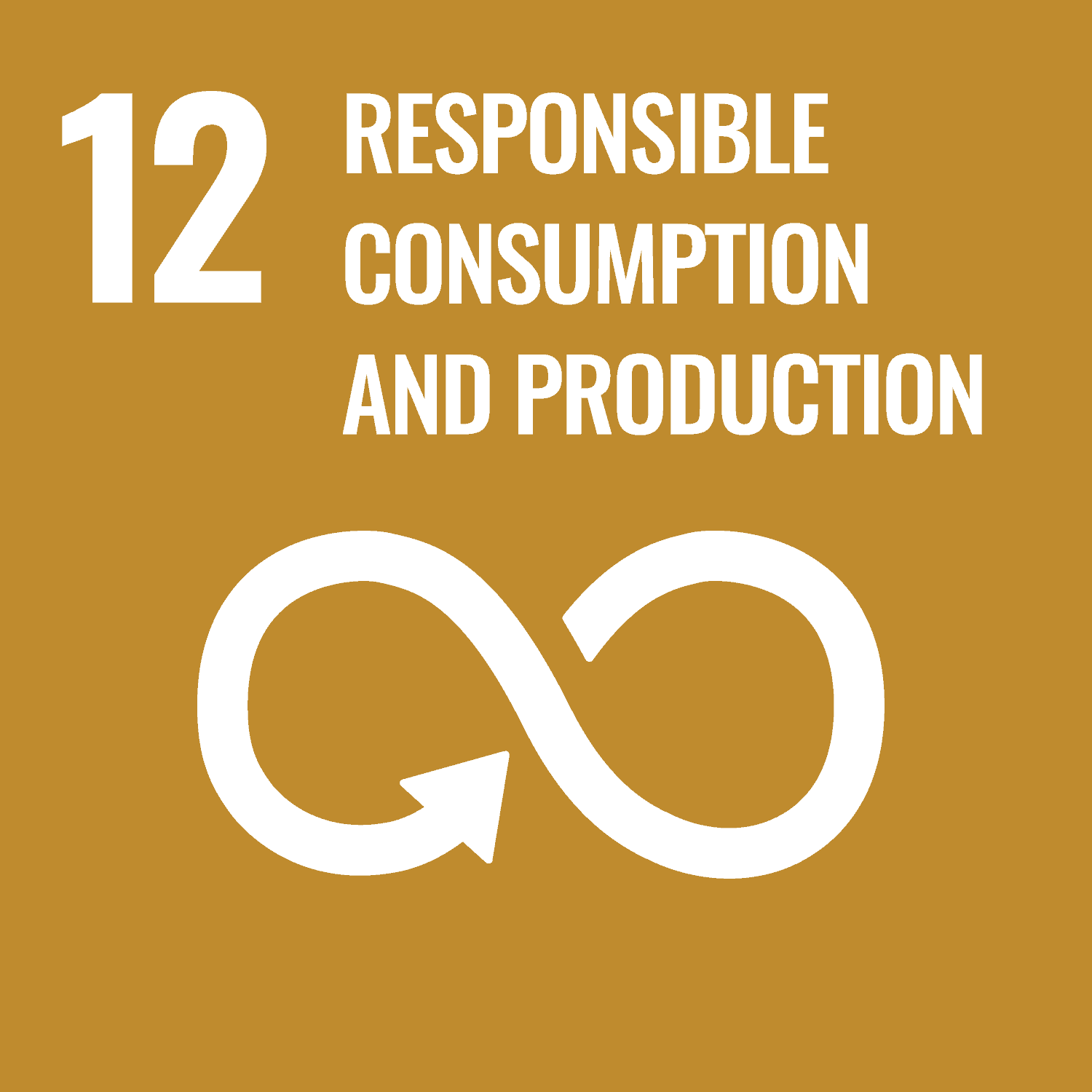 SUSTAINABLE DEVELOPMENT GOAL 1