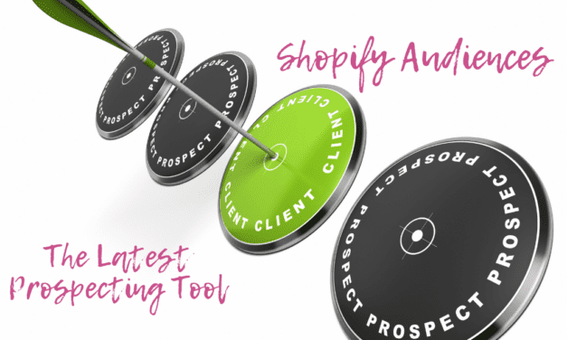 Meet Your Next Best Customers Using Shopify Audiences, The Latest Prospecting Tool